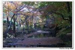 韓國俗離山_092