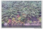 韓國俗離山_098