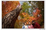 韓國俗離山_102