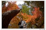 韓國俗離山_104