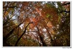 韓國俗離山_106