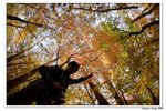 韓國俗離山_108
