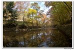 韓國俗離山_109