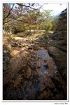 韓國俗離山_111