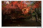 韓國俗離山_115