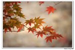 韓國俗離山_117