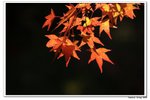 韓國俗離山_119