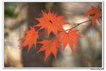 韓國俗離山_121