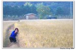 韓國俗離山_153