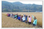 韓國俗離山_159