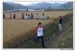 韓國俗離山_160