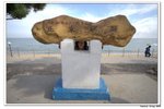 韓國正東津_057