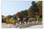 SY韓國之旅_384