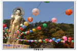 SY韓國之旅_386