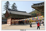 SY韓國之旅_389