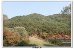 SY韓國之旅_393
