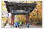 SY韓國之旅_416