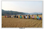 SY韓國之旅_517