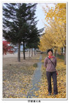 SY韓國之旅_521