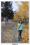 SY韓國之旅_523