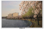 SY韓國之旅_537