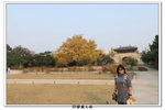 SY韓國之旅_703
