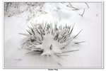 武當山_007