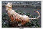 黃鶴樓_074