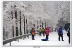 武當山_082