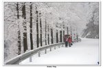 武當山_086