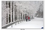武當山_087