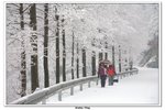 武當山_088