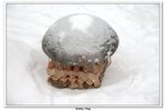 武當山_101