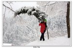 武當山_104