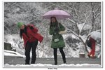 武當山_165