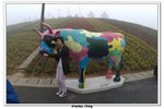 03-2010宏福花園旅行_102