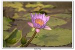 03-2010宏福花園旅行_469