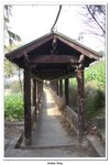 神農架_037