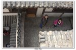 神農架_048