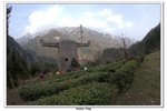 神農架_140