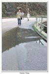 05-2010萬宜地質公園_144