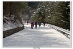 神農架_045