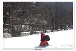 神農架_053