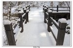神農架_069