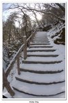 神農架_072