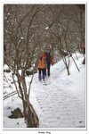 神農架_090