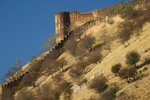 IMG_1801_resize