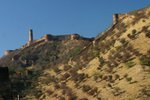 IMG_1811_resize