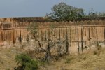 IMG_2016_resize