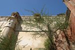 IMG_2065_resize